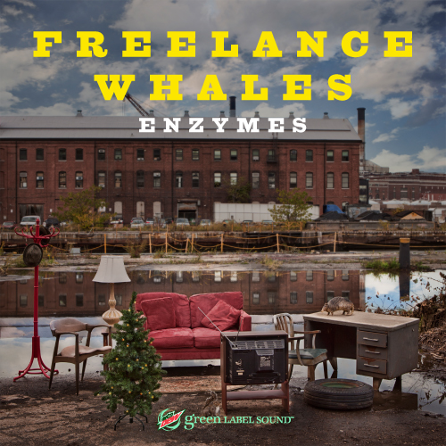 freelancewhalesenzymes