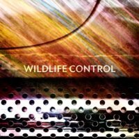 wildlifecontrol