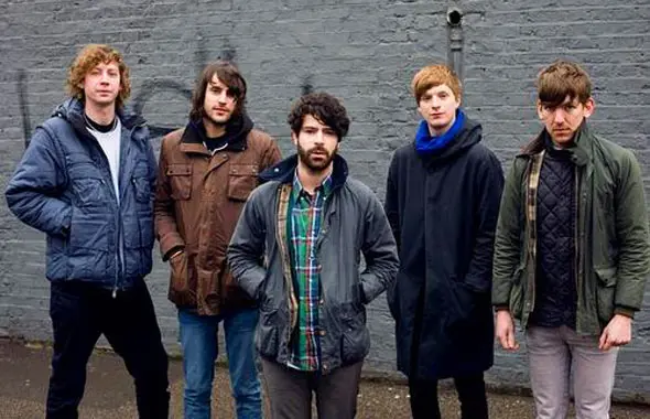 foals1