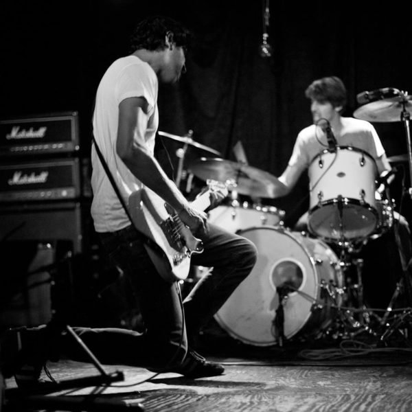 wildlife-control-band