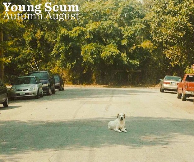young-scum-autumn-august