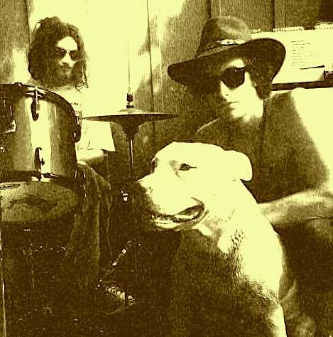 waleybrowndog