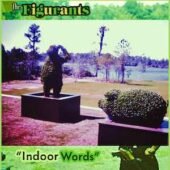 indoorwords-thefigurants-featured