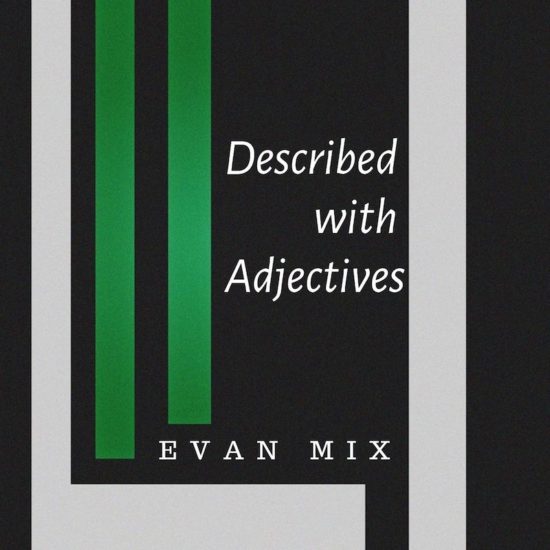 Described with Adjectives evan mix