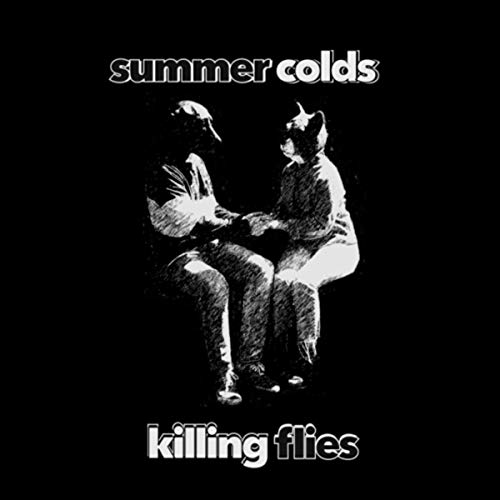killing-flies-summer-colds